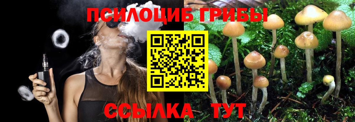 Галлюциногенные грибы MAGIC MUSHROOMS Каменск-Уральский